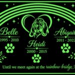 Paw Prints at the Rainbow Bridge
