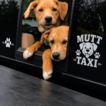 White window sticker example